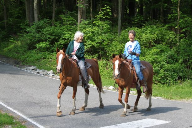 Lorem ipsum dolor si.