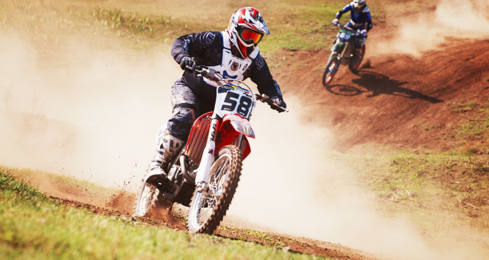 Nam dapibus nisl vitae