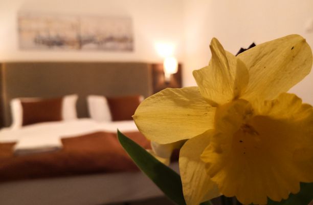 Két plusz Két ágyas